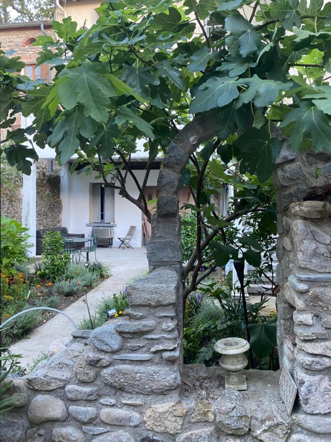 Sculptors Retreat Apartment Ceret Ngoại thất bức ảnh